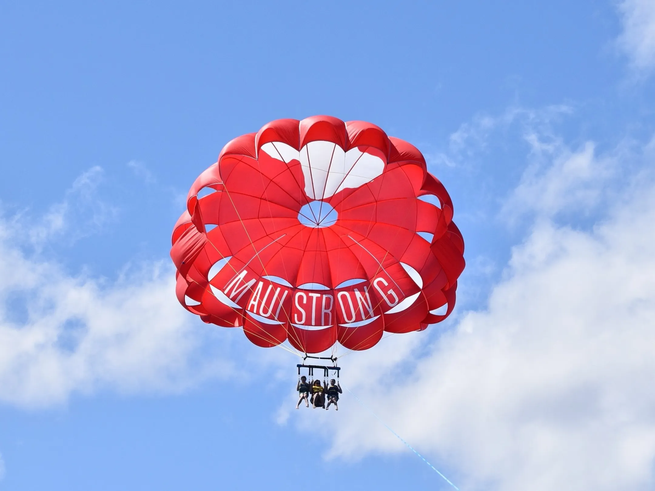 a close up of an umbrella on a cloudy day
