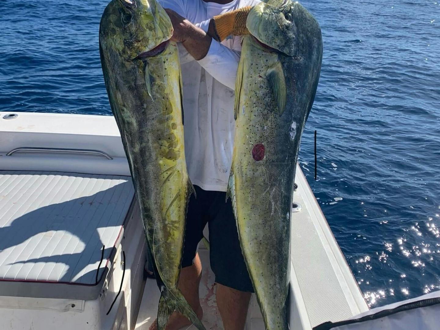 a man holding a fish in the water