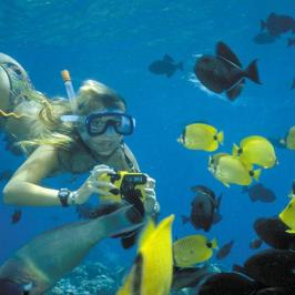 a group of people swimming in a pool of water