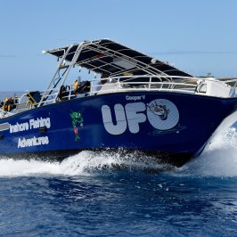 a boat on a body of water