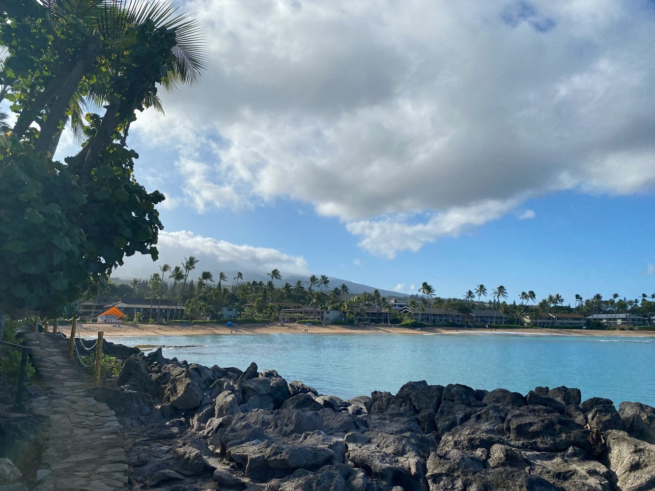 Scenic view of a rocky coastal path with palm trees and cloudy sky.