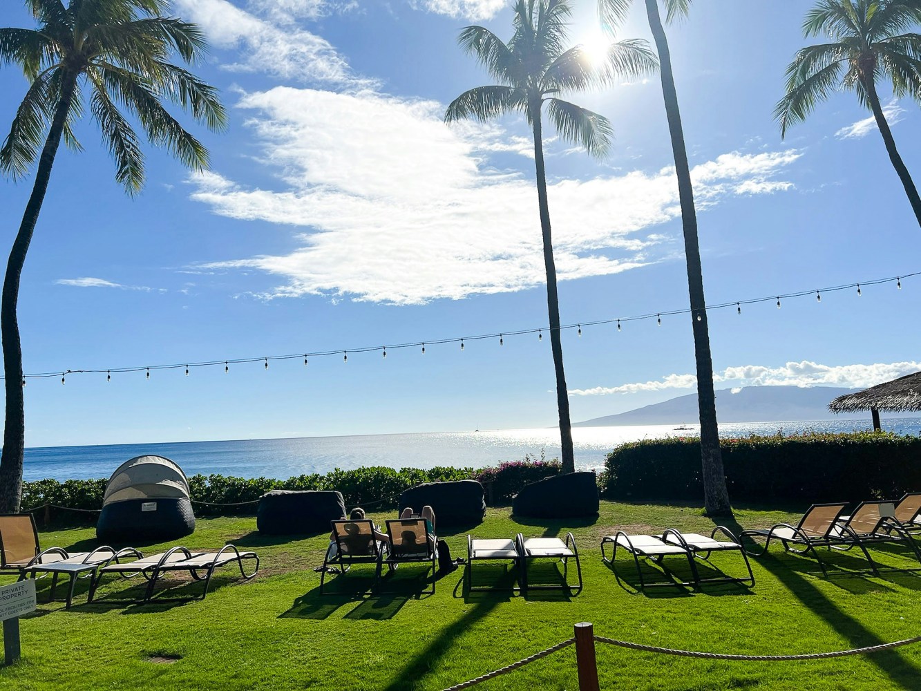 Palm trees, lounge chairs on grass, ocean view under a sunny sky.