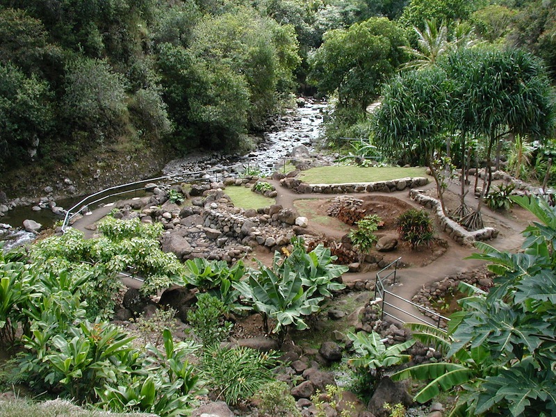 Lush garden with stone pathways beside a small stream in a forest area.