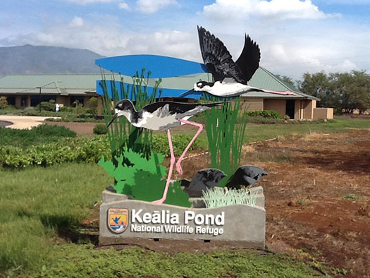 Kealia Pond National Wildlife Refuge sign with bird sculptures and grass.