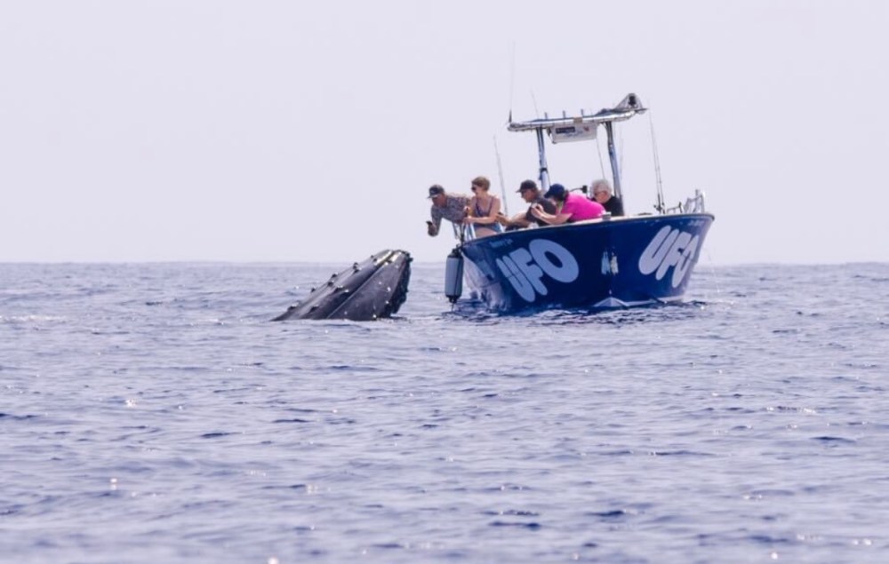 A boat named UFO with people observing a whale's head emerging from the ocean.